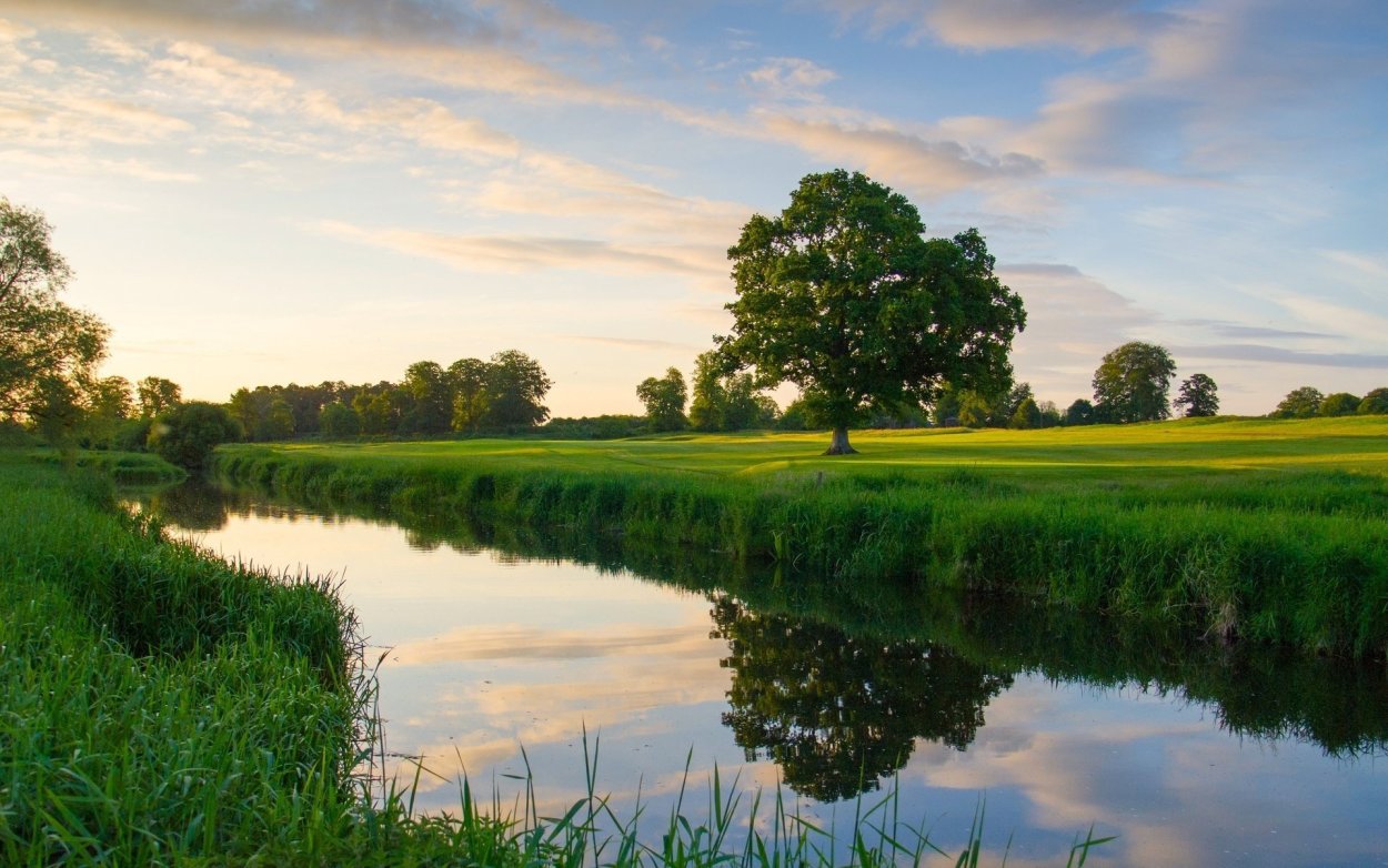 Река в поле