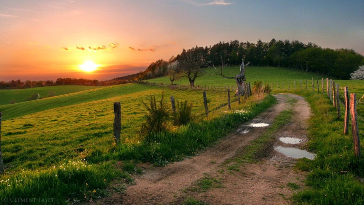 Красивая дорога в деревне