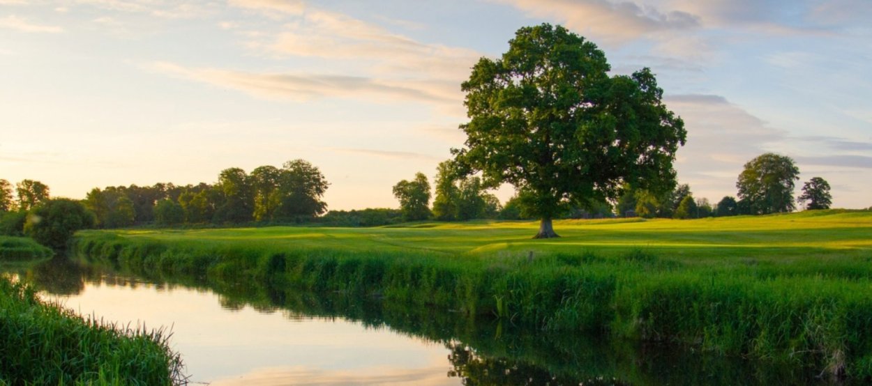 Родные просторы Пушгоры панорама