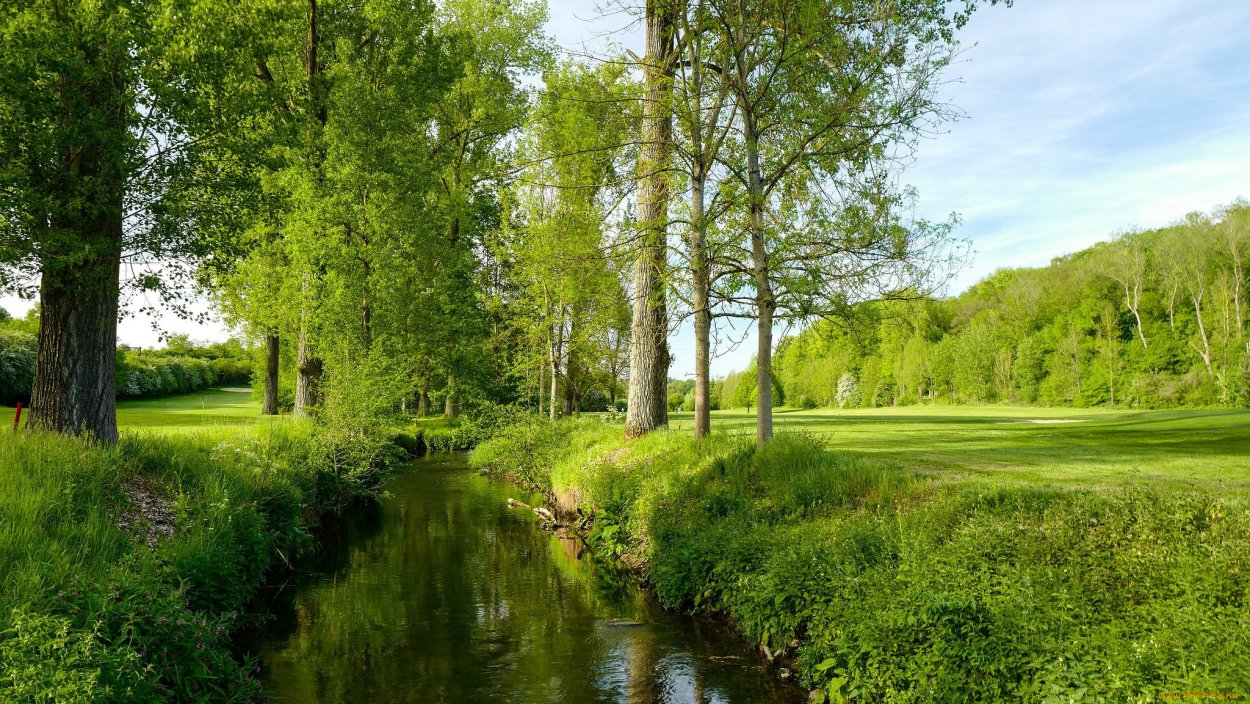 Природа России