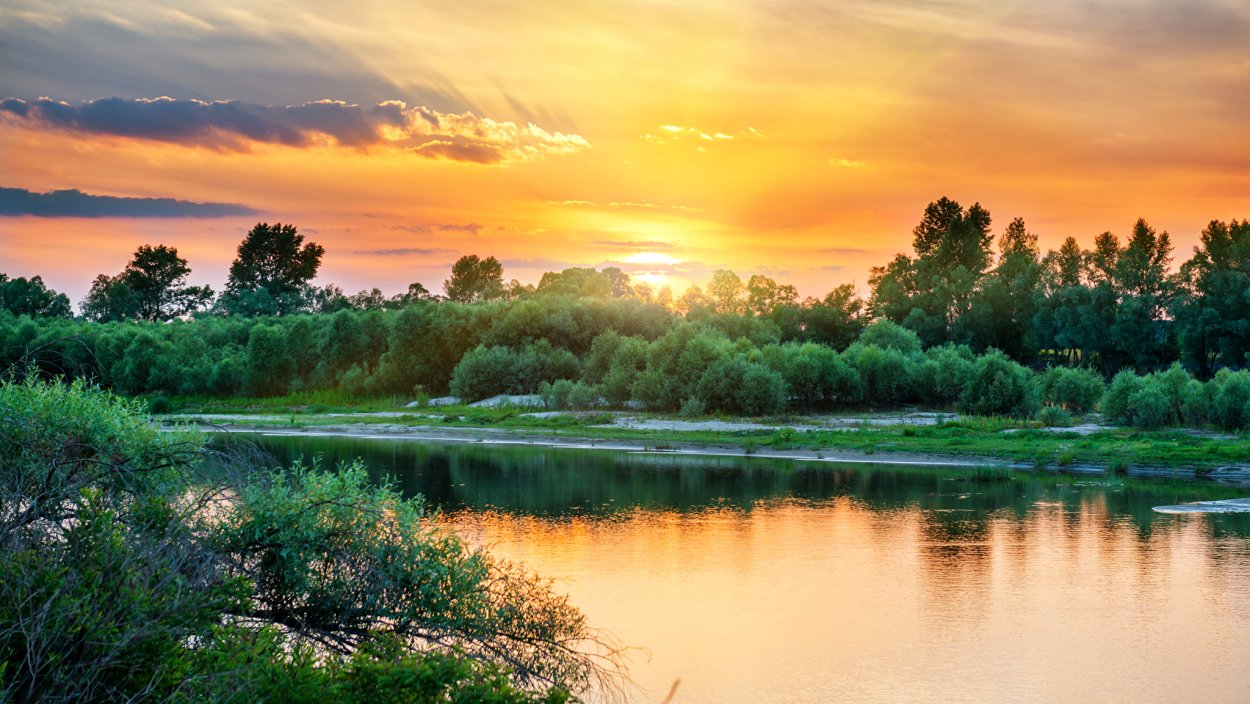 Берега России