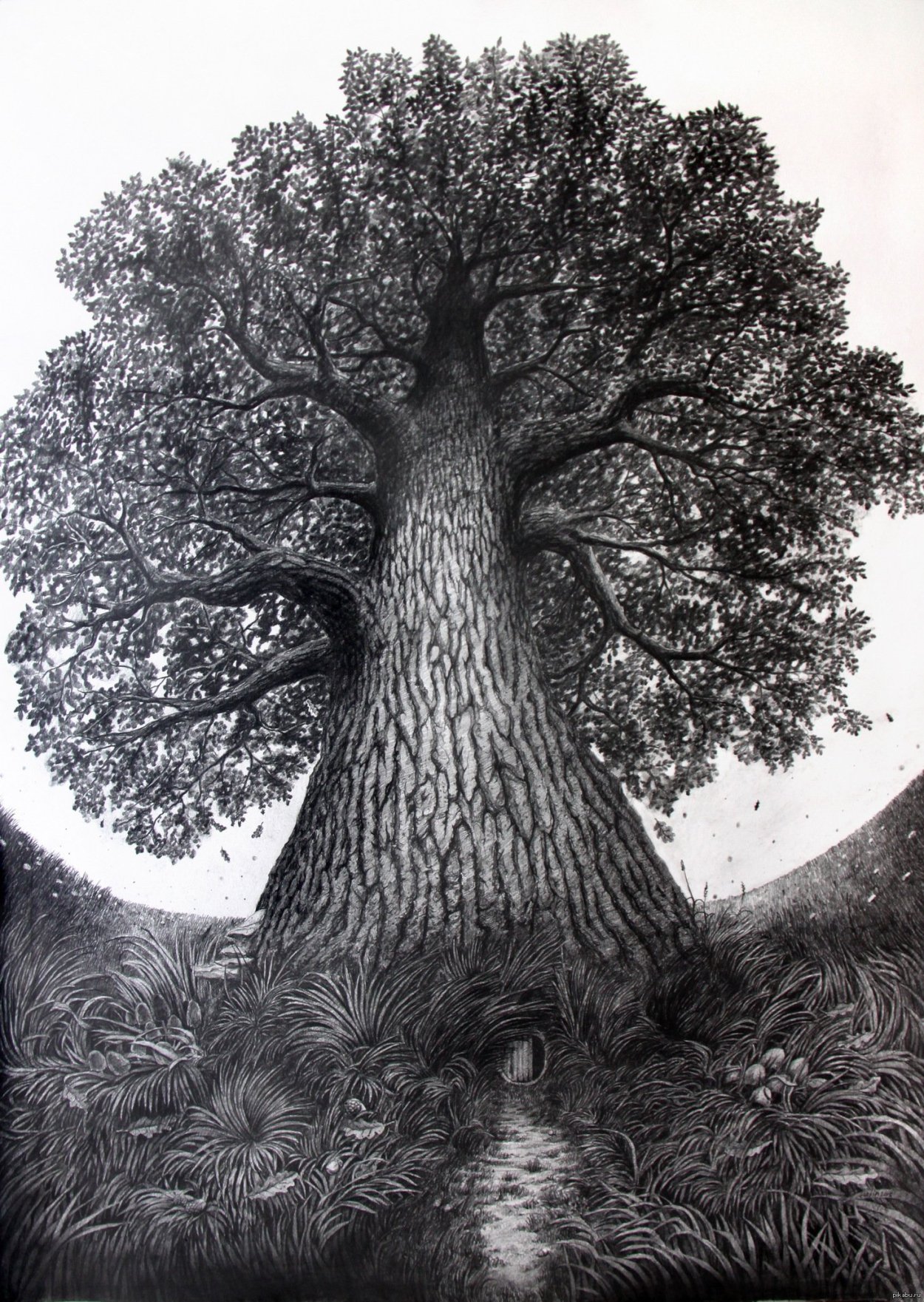 Красивое дерево