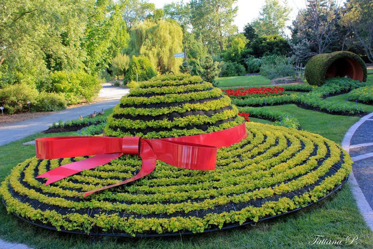 Фигурные клумбы