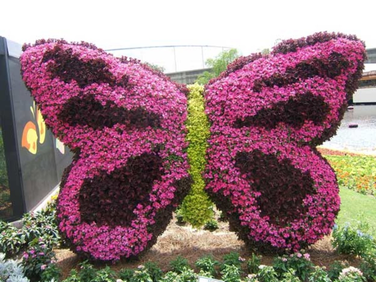 Клумба бабочка