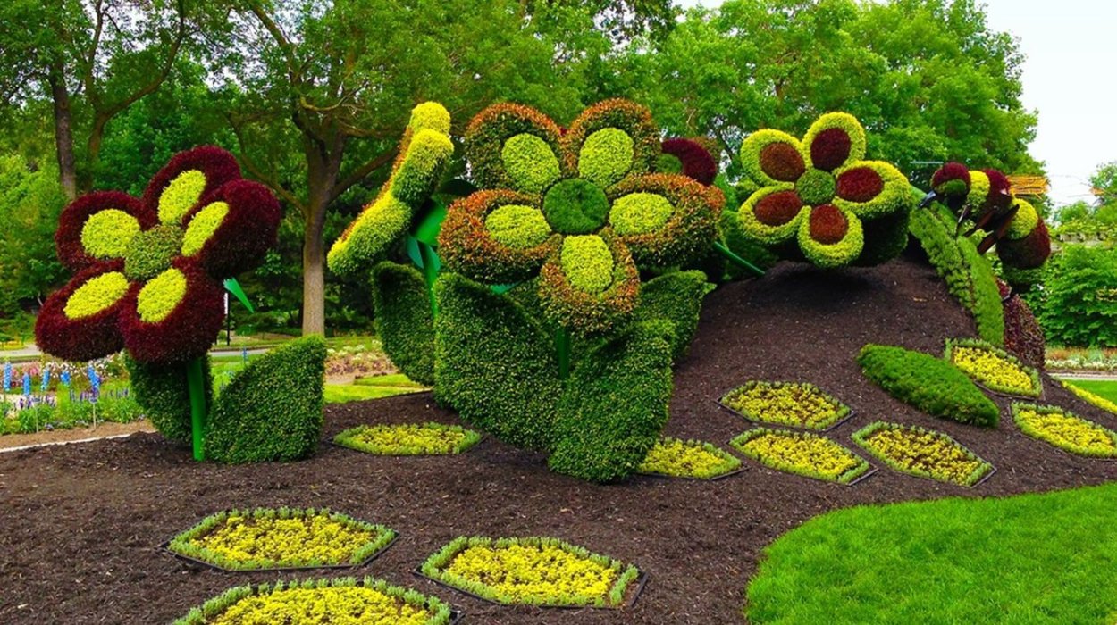 Топиарные фигуры - клумбы