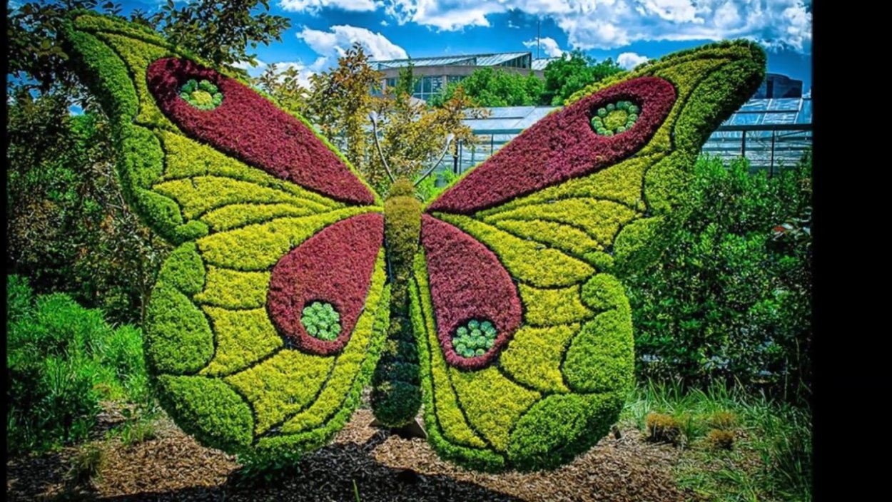 Бабочка на яблоке топиарная фигура