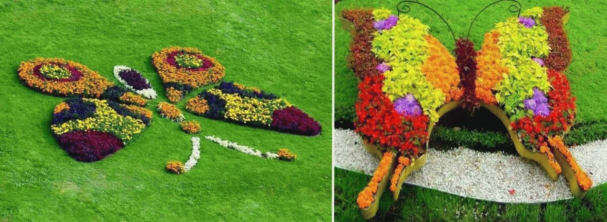 Клумба с цветами в форме бабочки