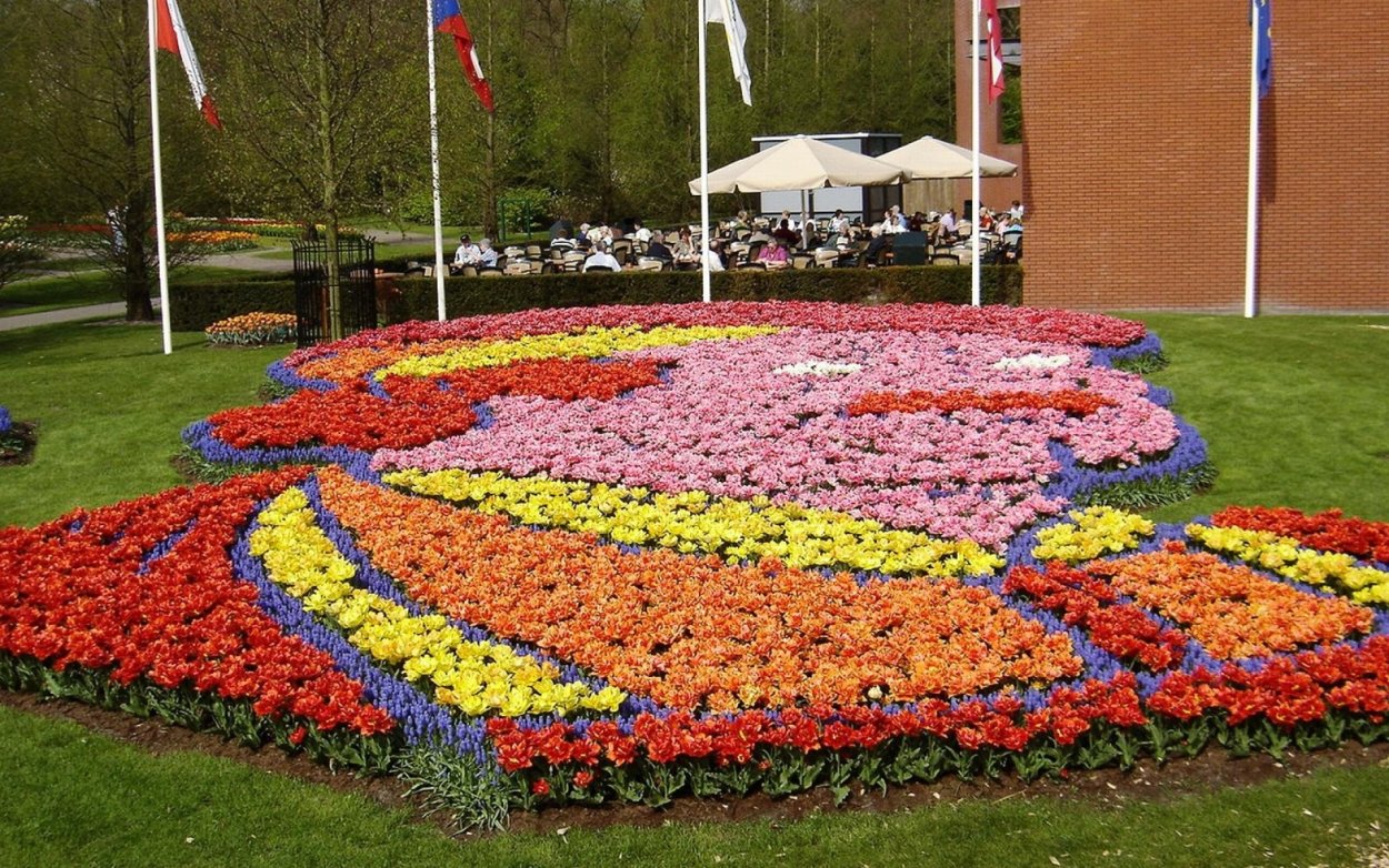 Клумба с цветами