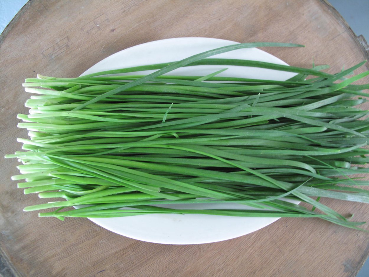 Лук Суворова Анзур многолетний