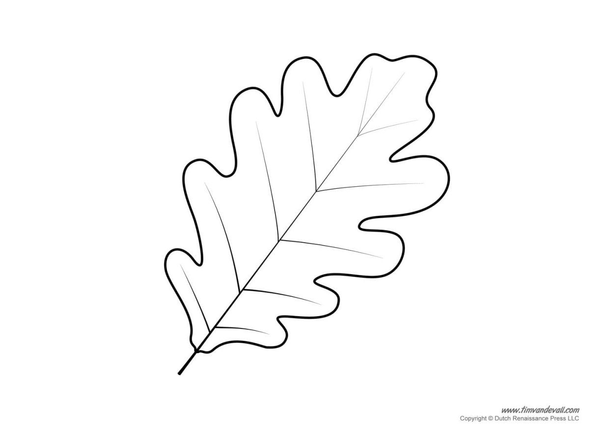 Дубрава остролистного дуба