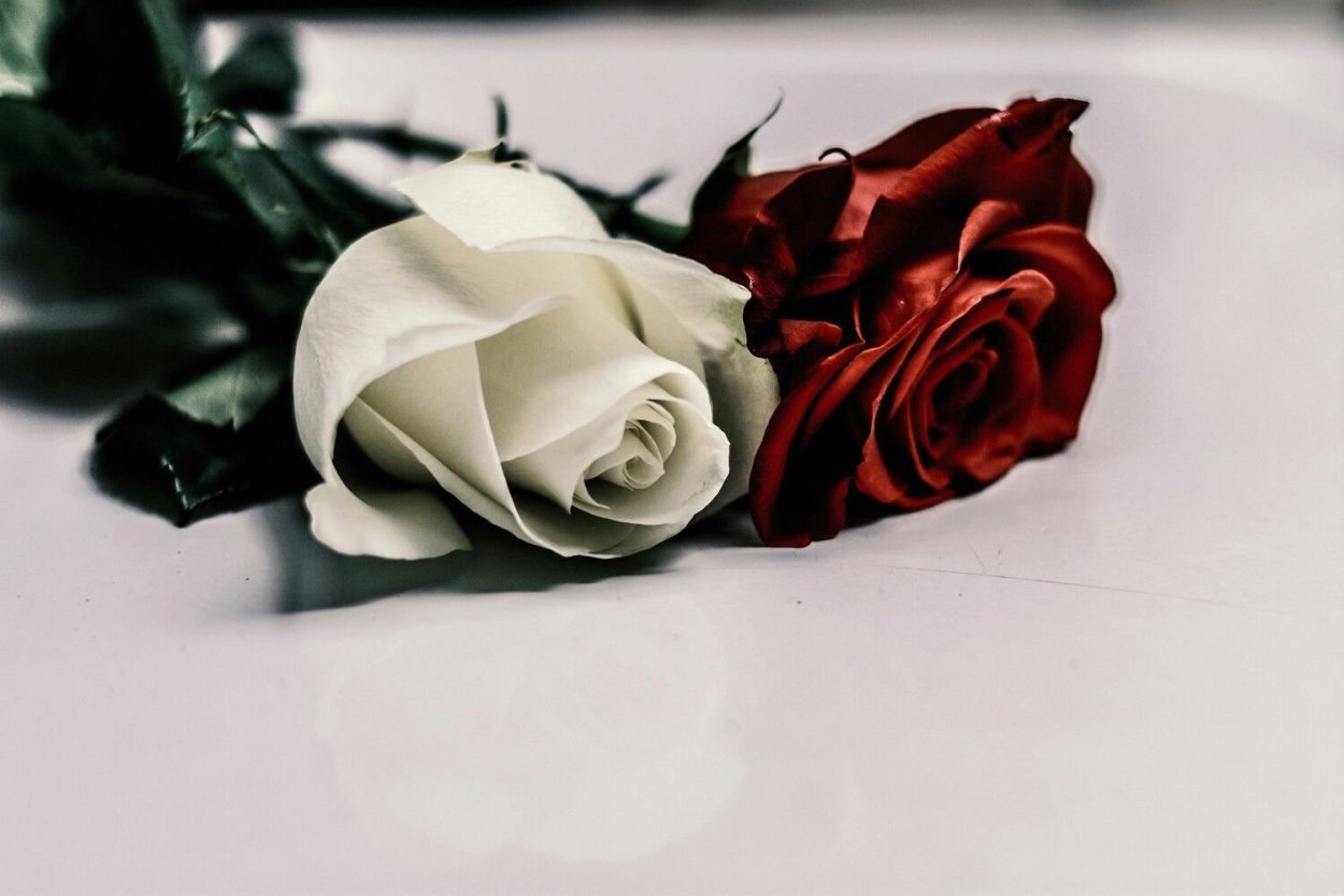 Цветы скорби