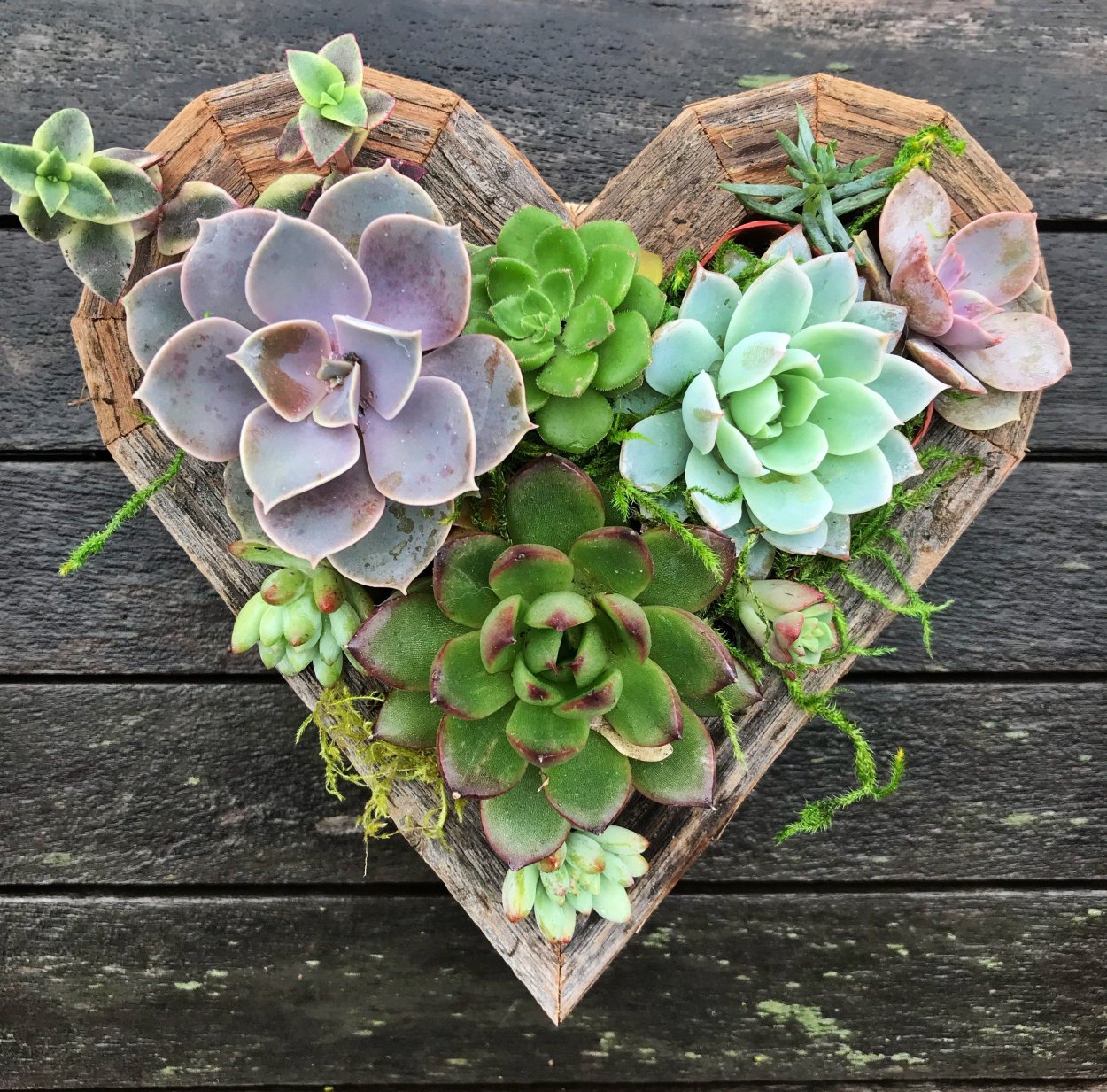 Бетонные горшочки для суккулентов