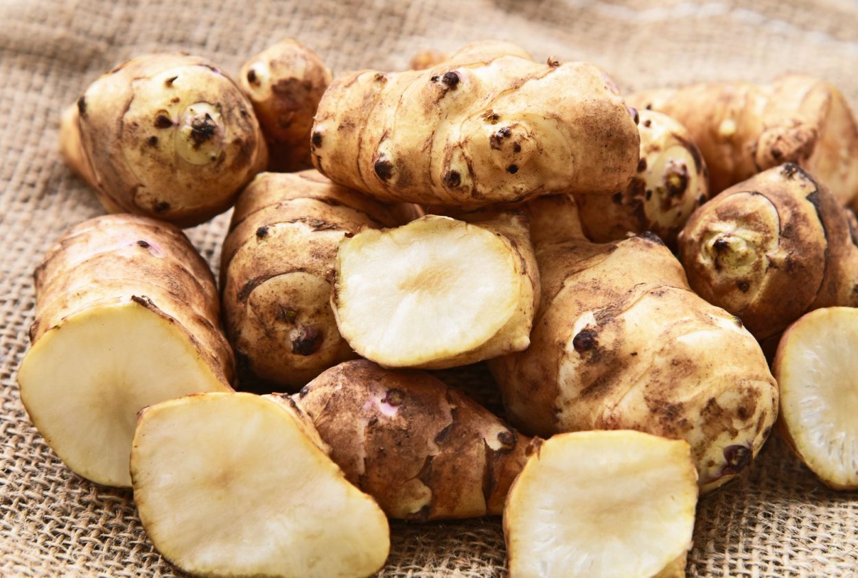 Корнеклубень топинамбур