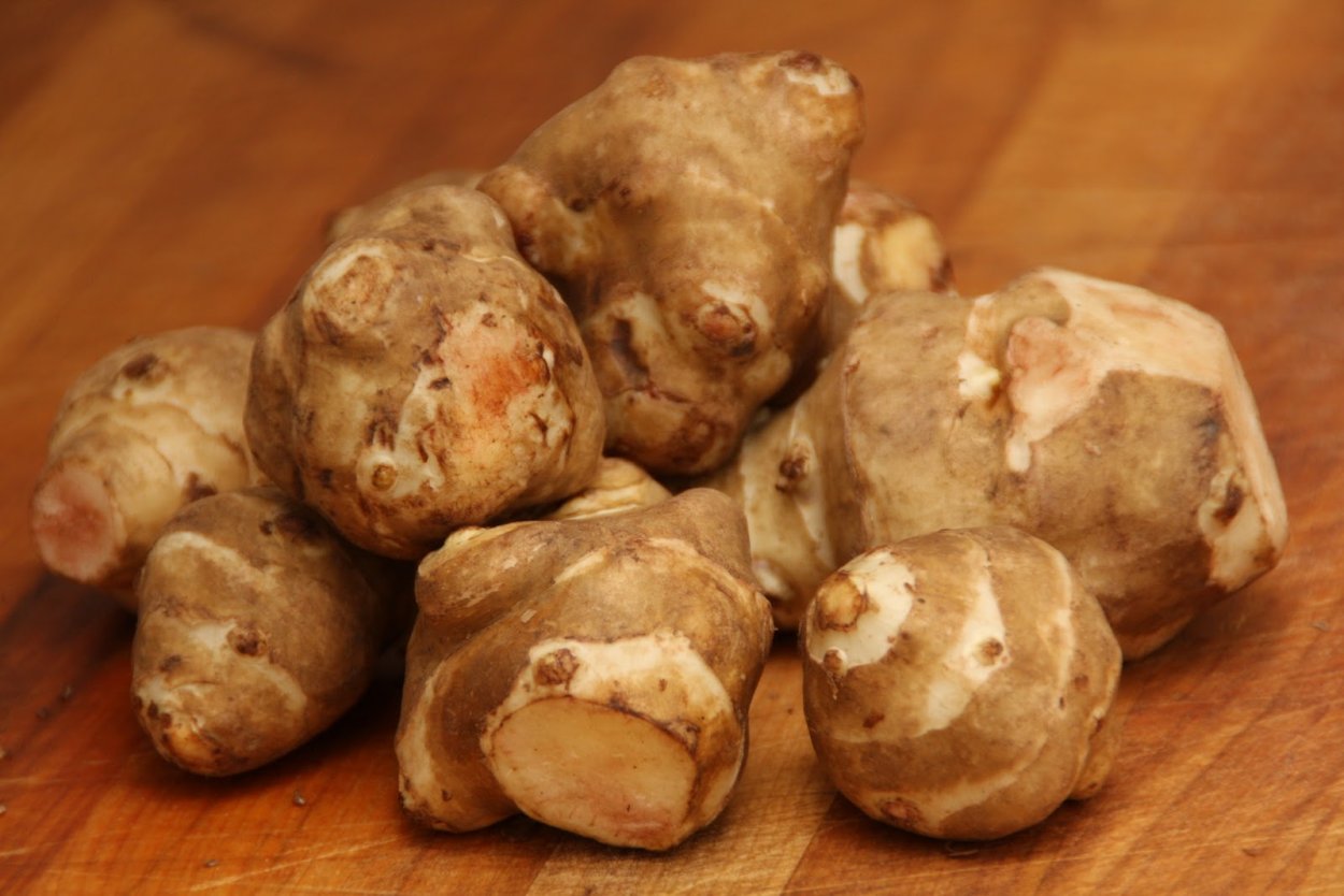 Топинамбур корнеплод