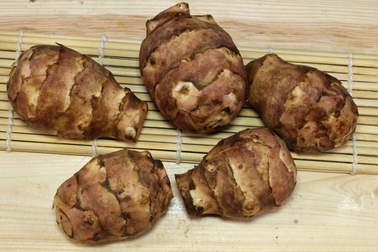 Топинамбур и артишок