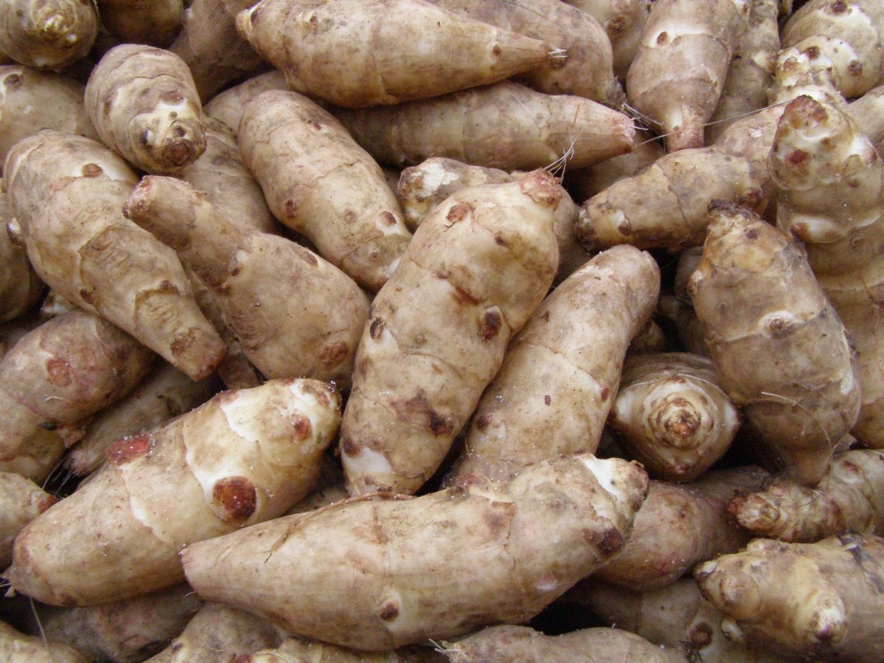 Картофель топинамбур