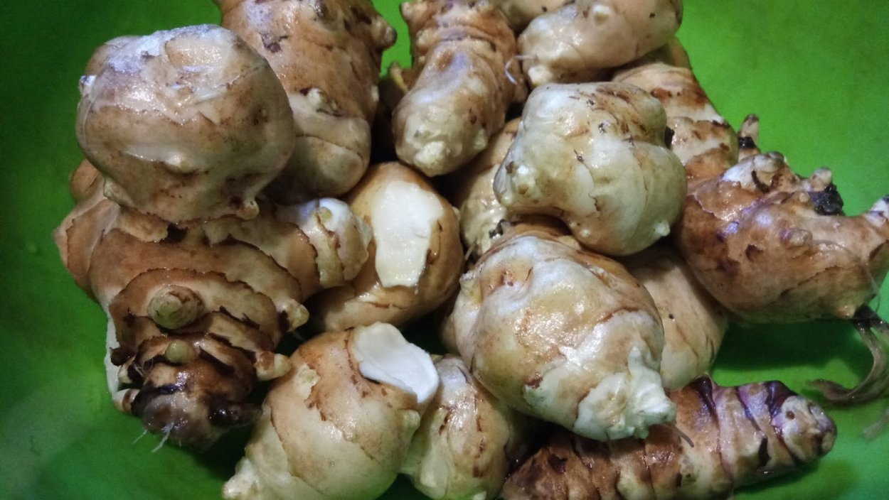 Топинамбур, клубни 50гр