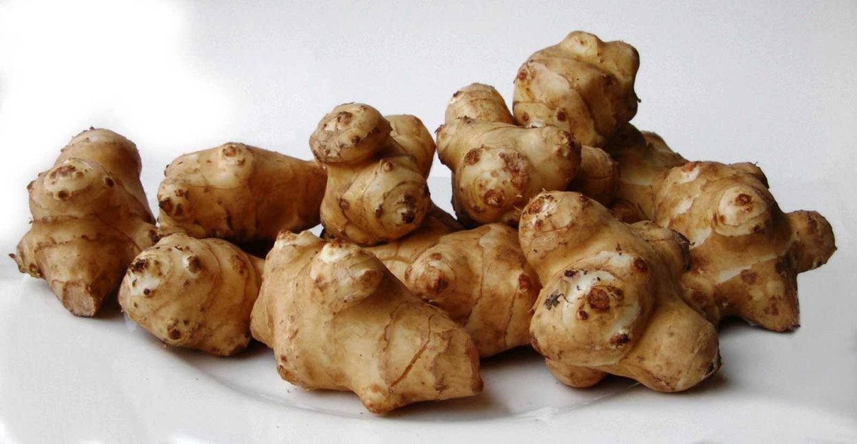 Топинамбур цветы