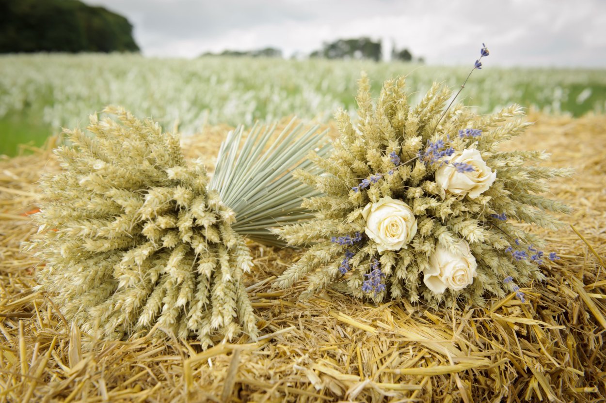 Букет "пшеница"