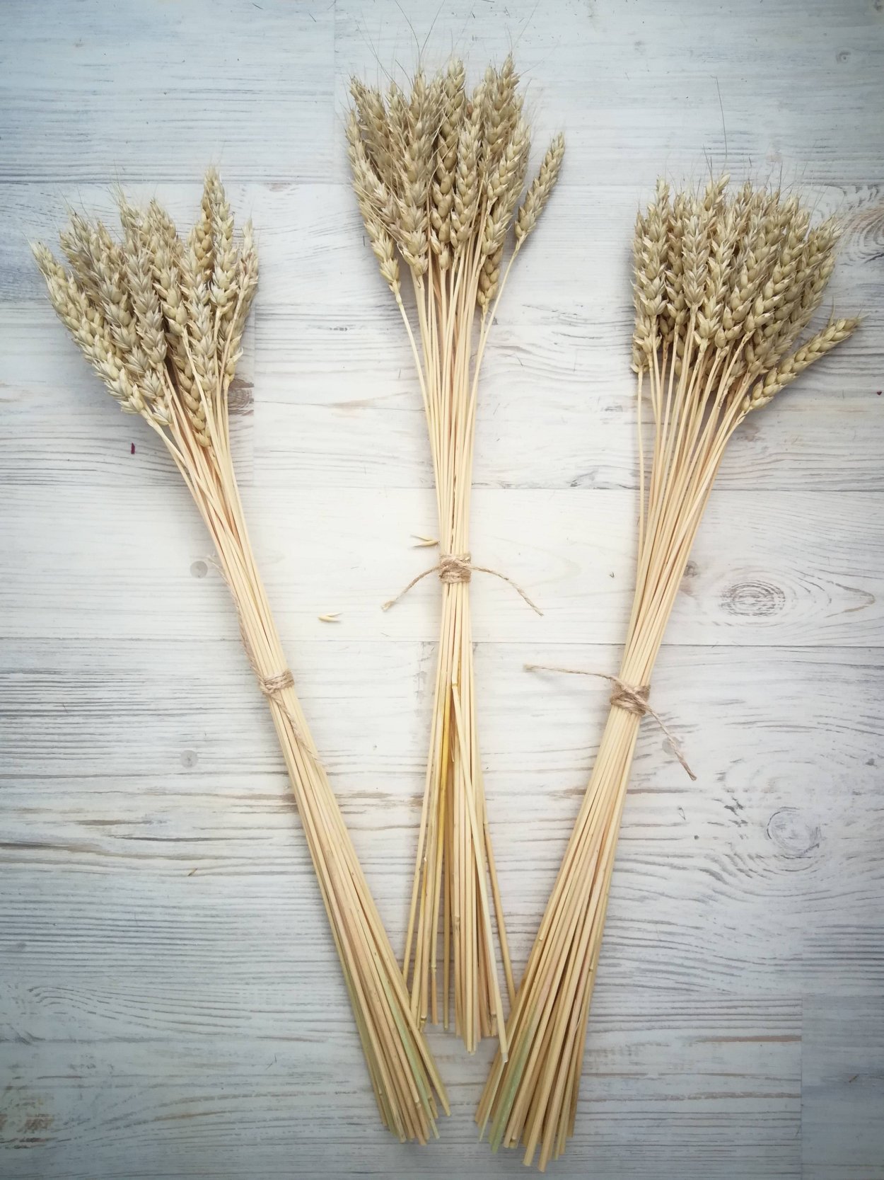 Букет из Колосков и сухоцветов