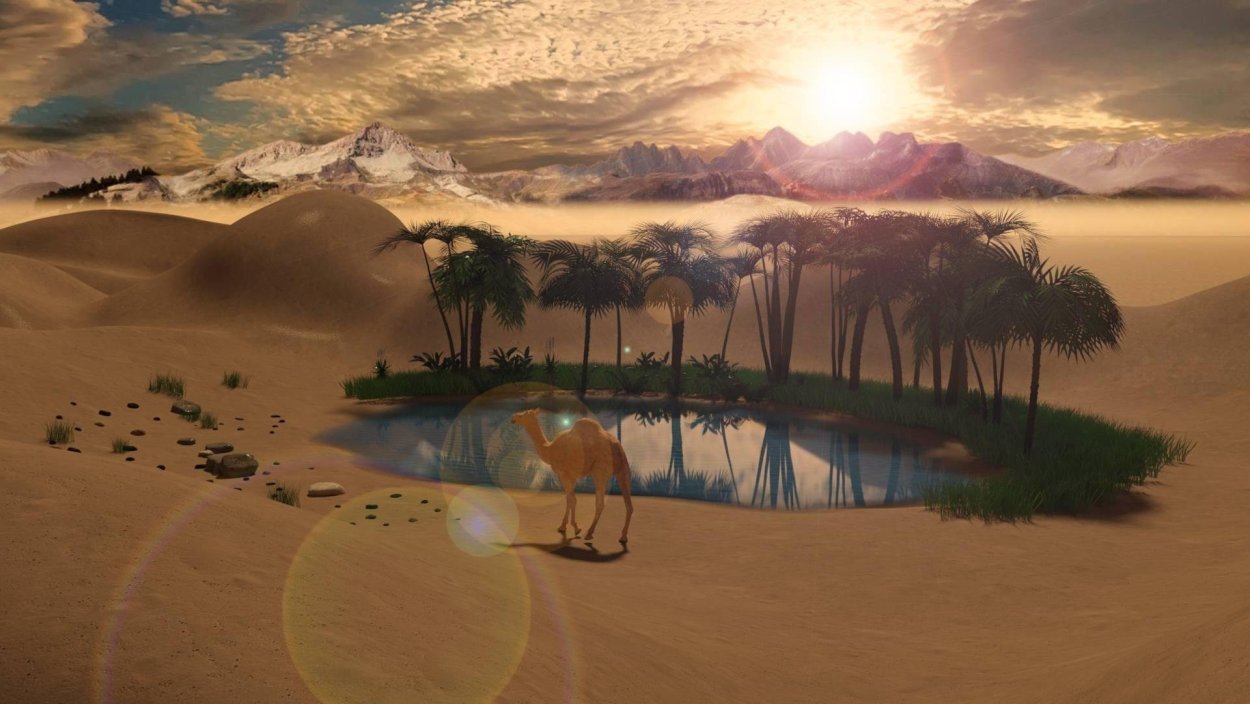 Финиковая Пальма в пустыне Африки