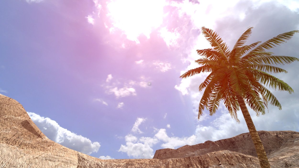 Марокко пальмы