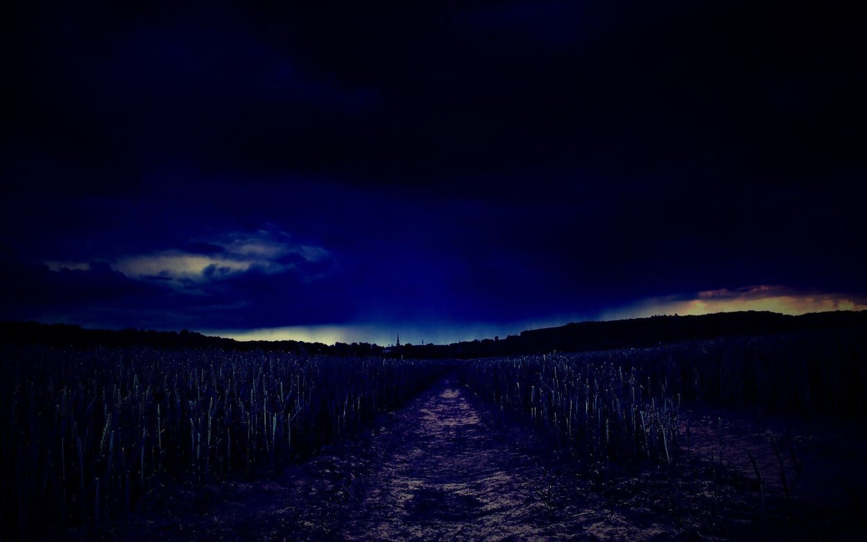 Ночное поле