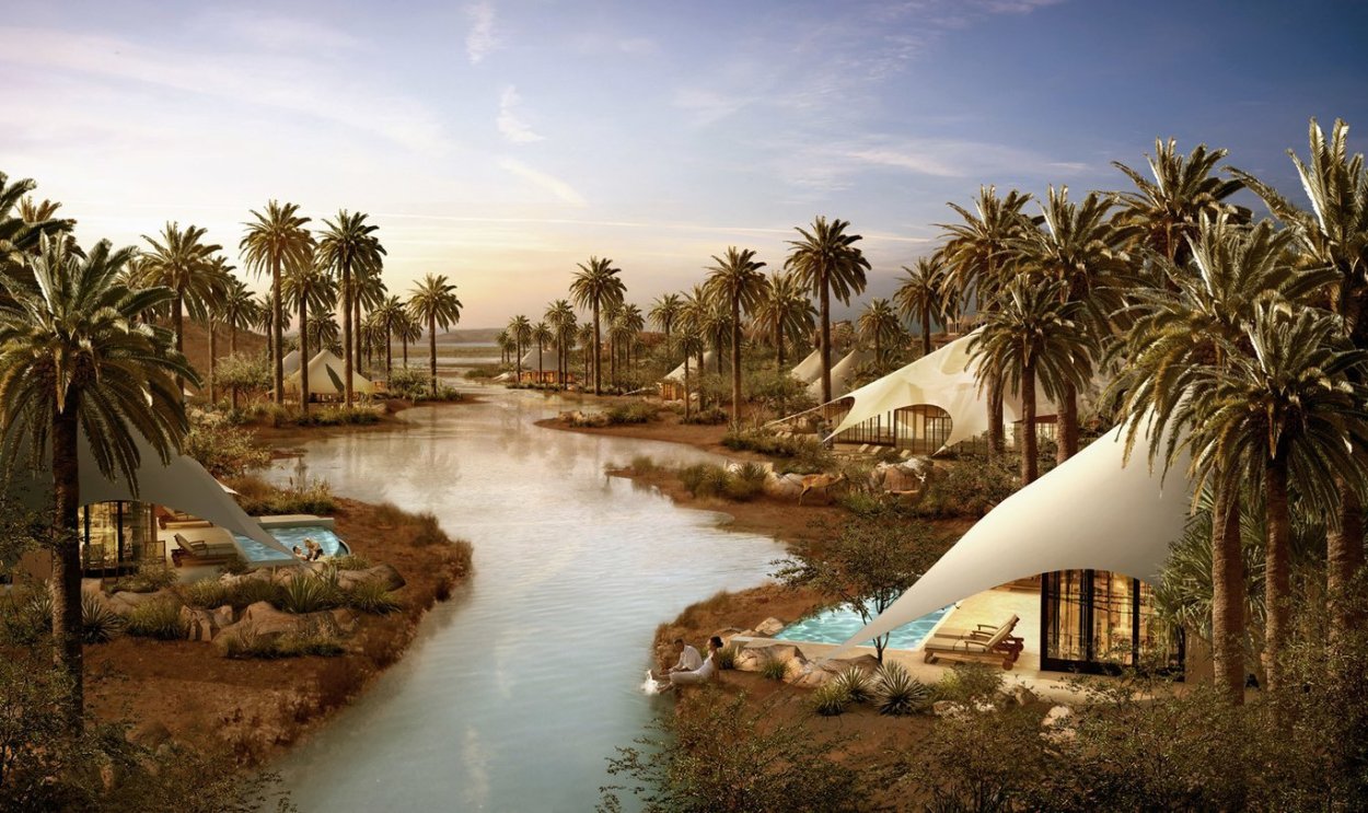 Лист пальмы