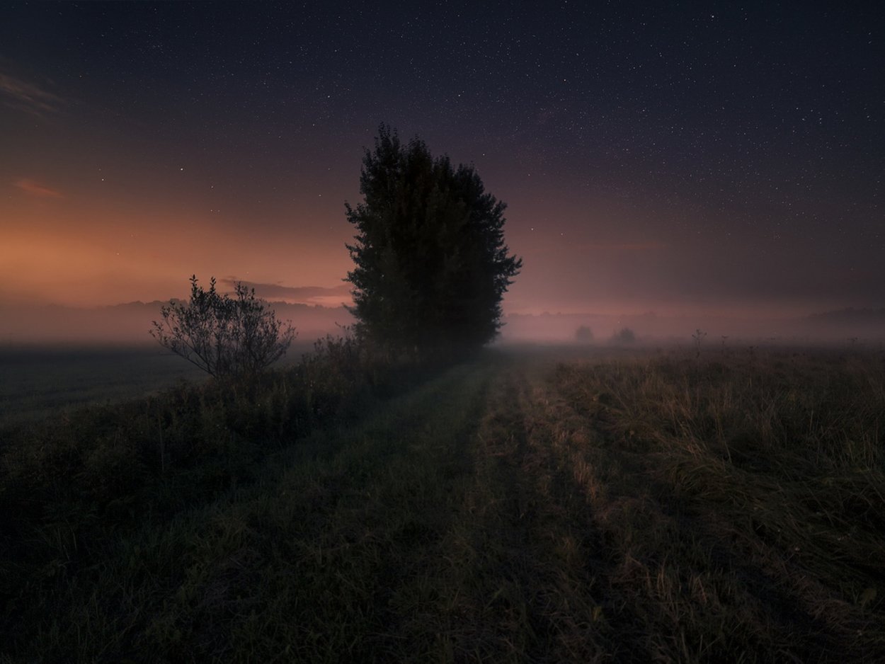 Поле с высокой травой