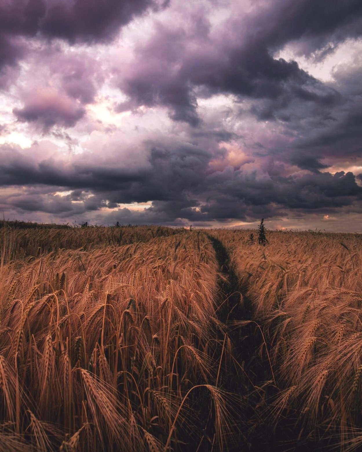 Небо перед грозой