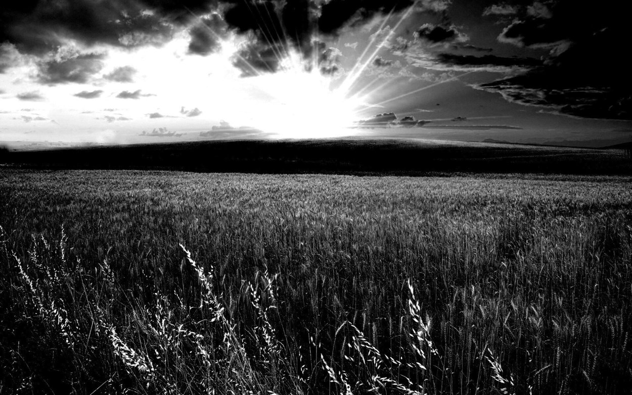 Мрачное поле