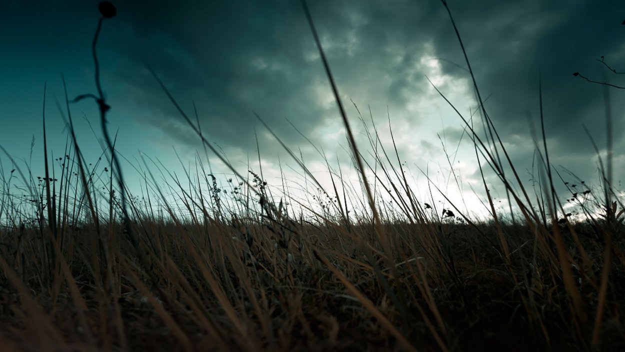 Темное поле