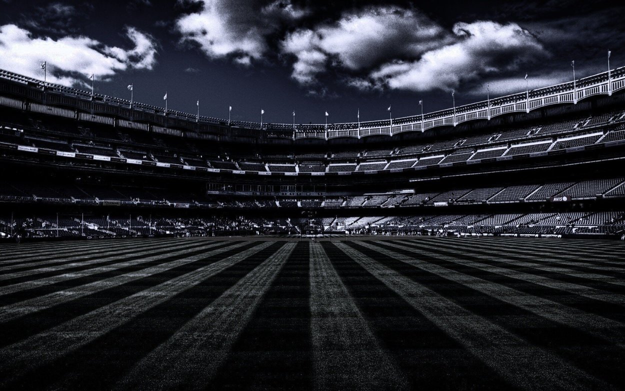 Поле черно белое