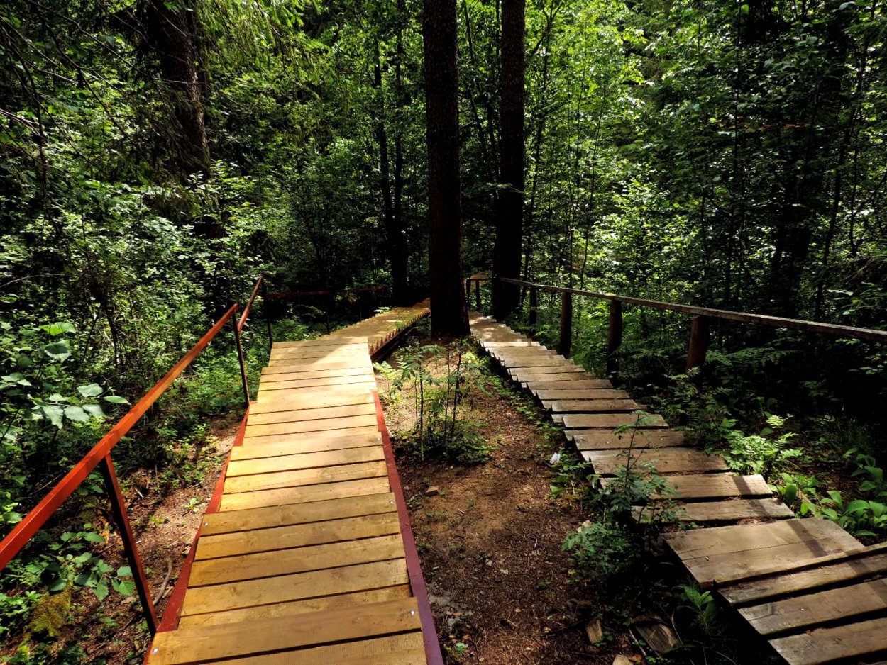 Деревянная дорожка вид сверху