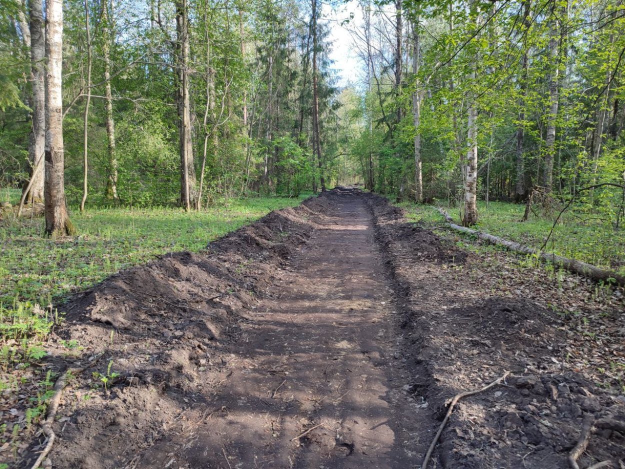 Проход в дереве