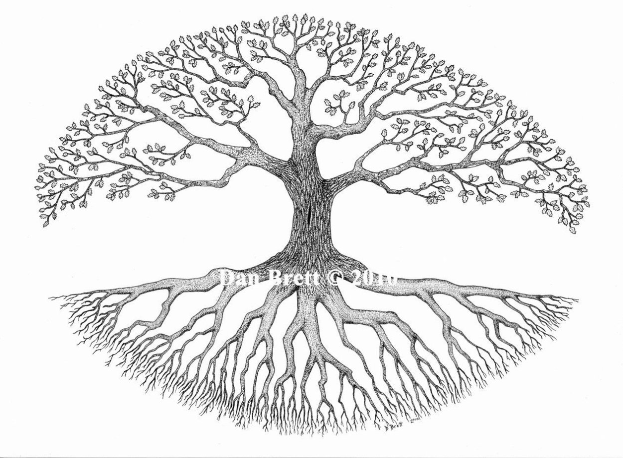 Дерево с корнями и кроной