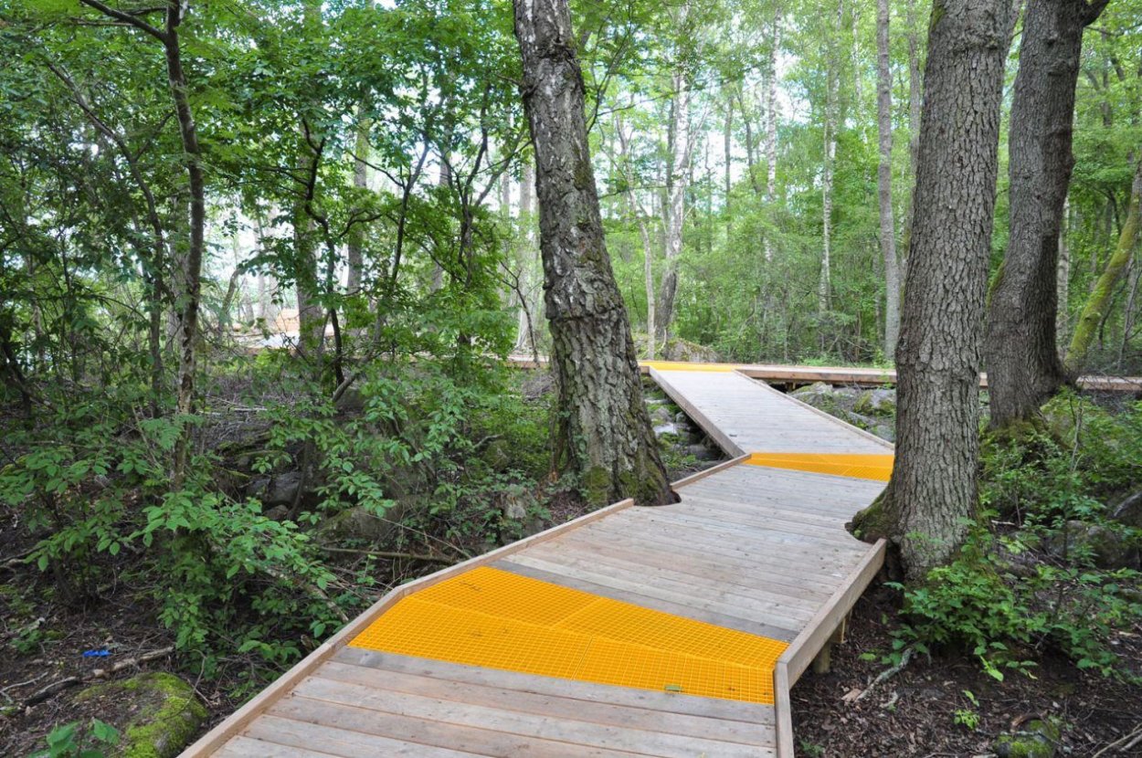 Тропа в гармонии с природой серебряный Бор