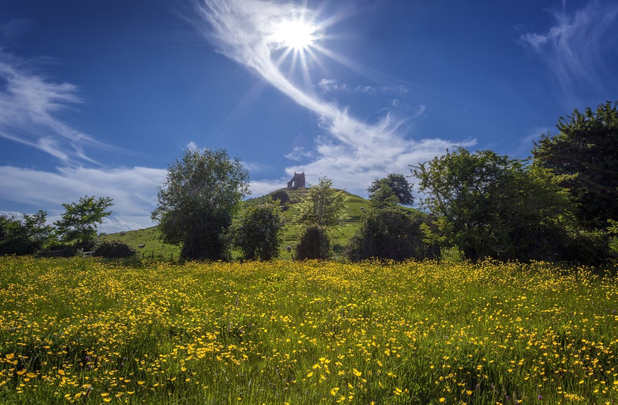 Луга тропа лес