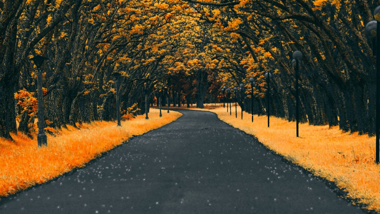 Картинки на рабочий стол осень