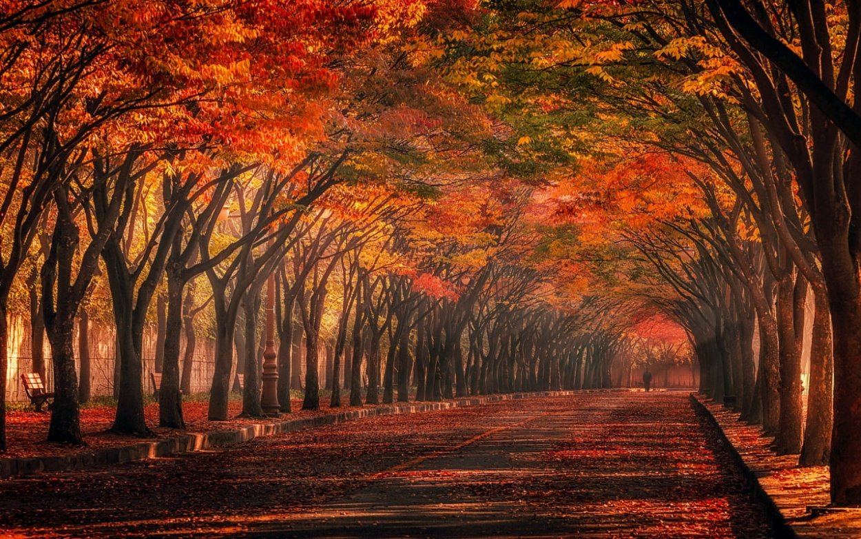 Сказочный осенний аллея