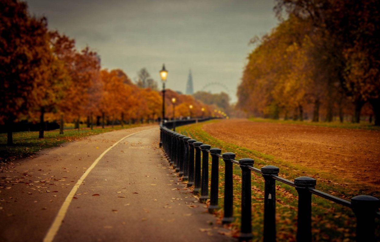 Осенняя дорога в городе