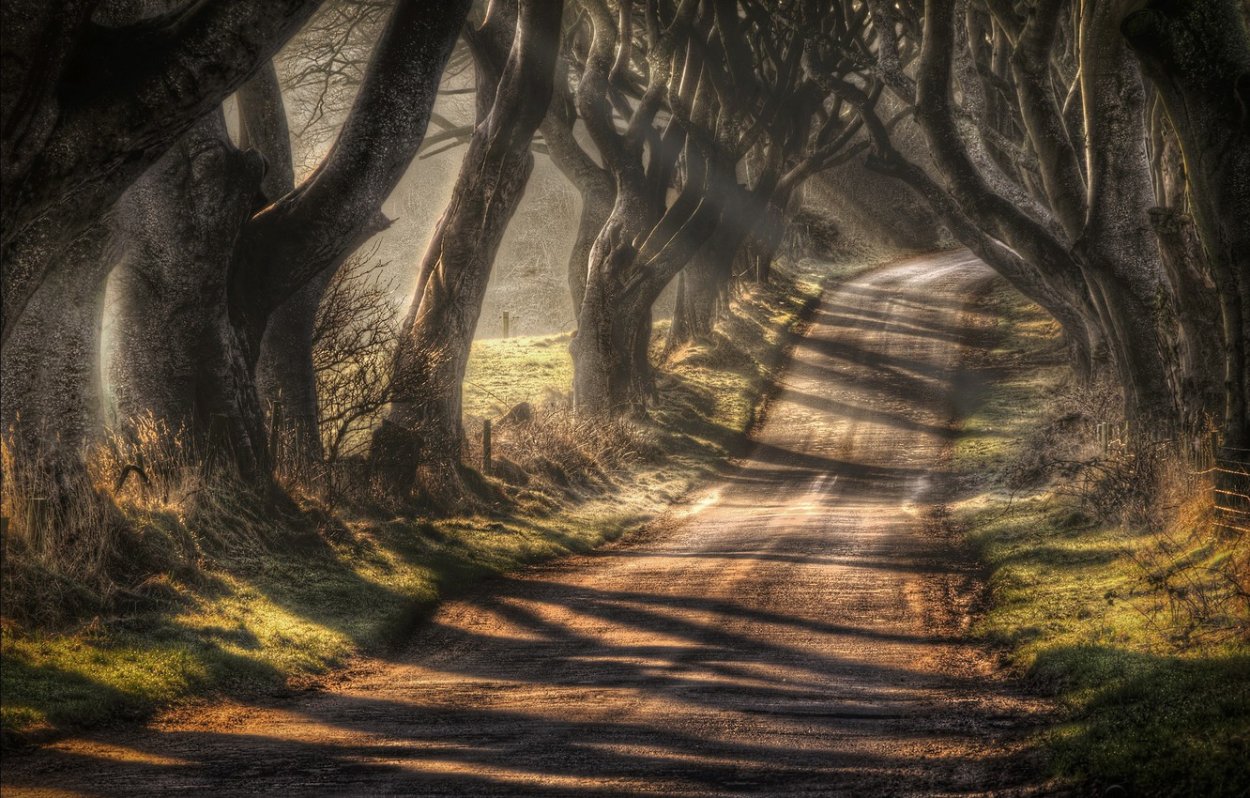 Темная аллея Ирландия
