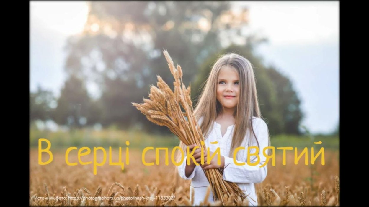 Поле с пшенице вертикальная