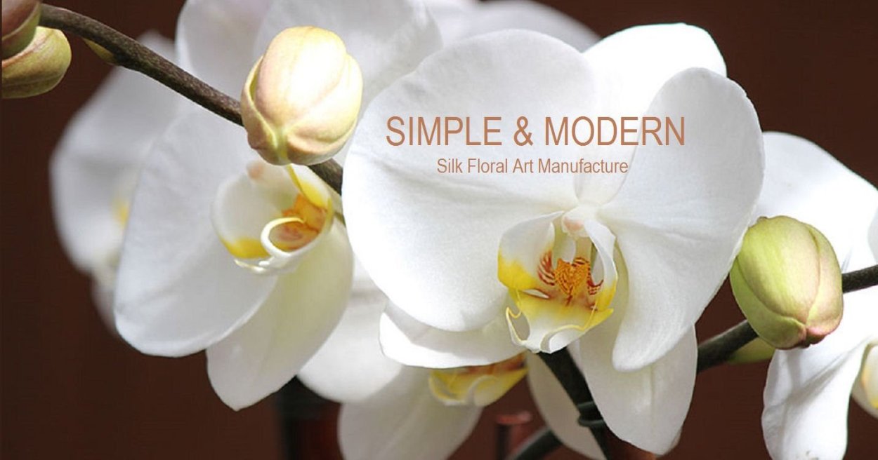 Фаленопсис Алабастер