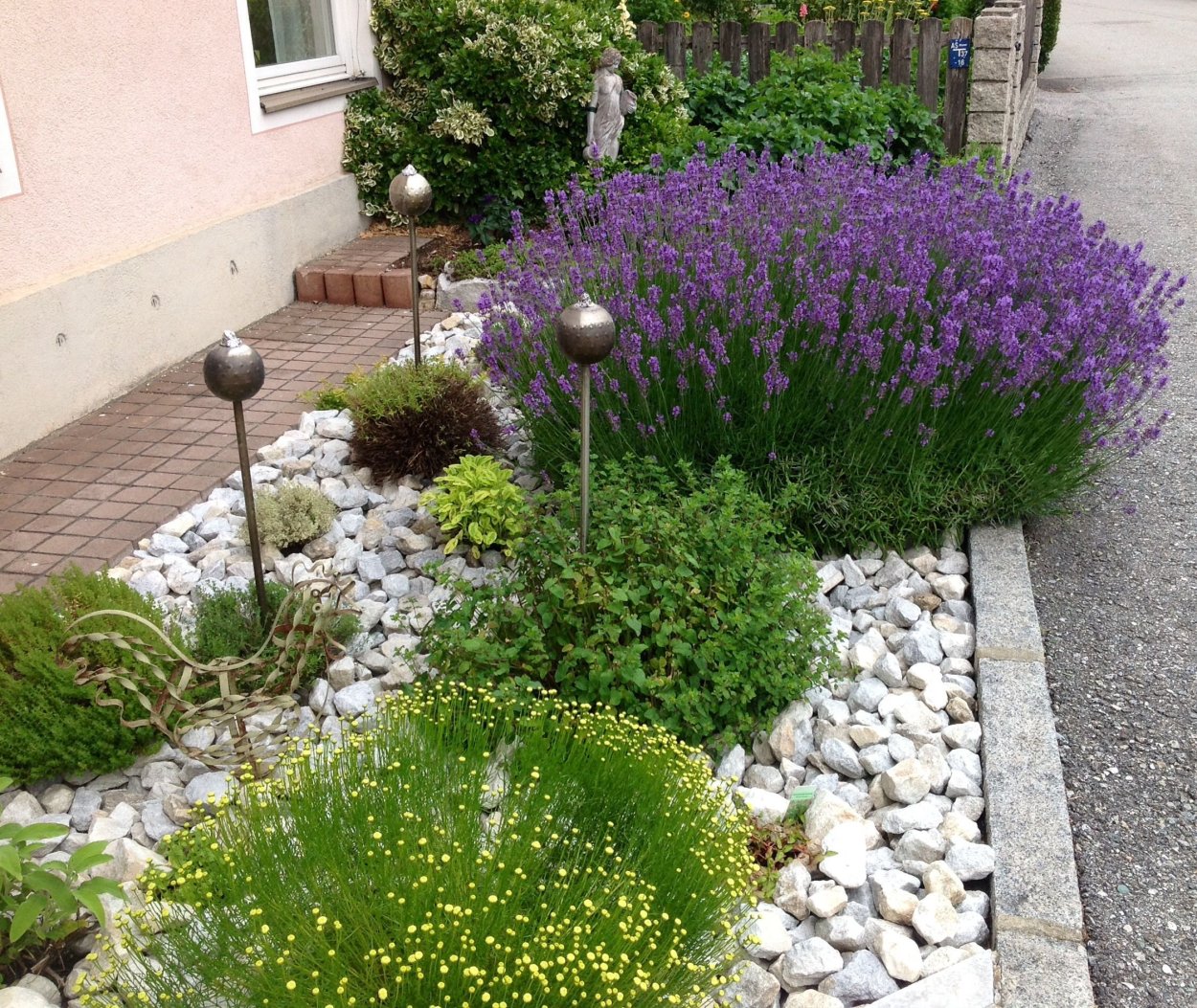 Сантолина и Лаванда в ландшафтном