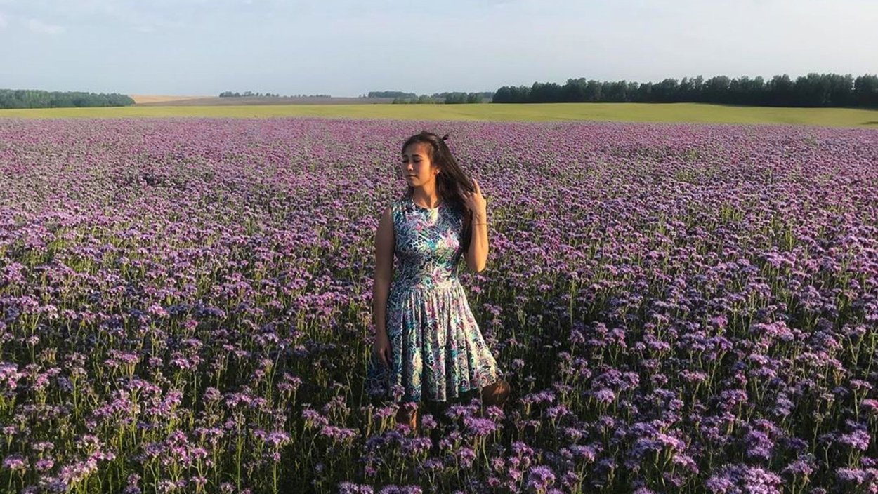 Интересные факты о фацелии