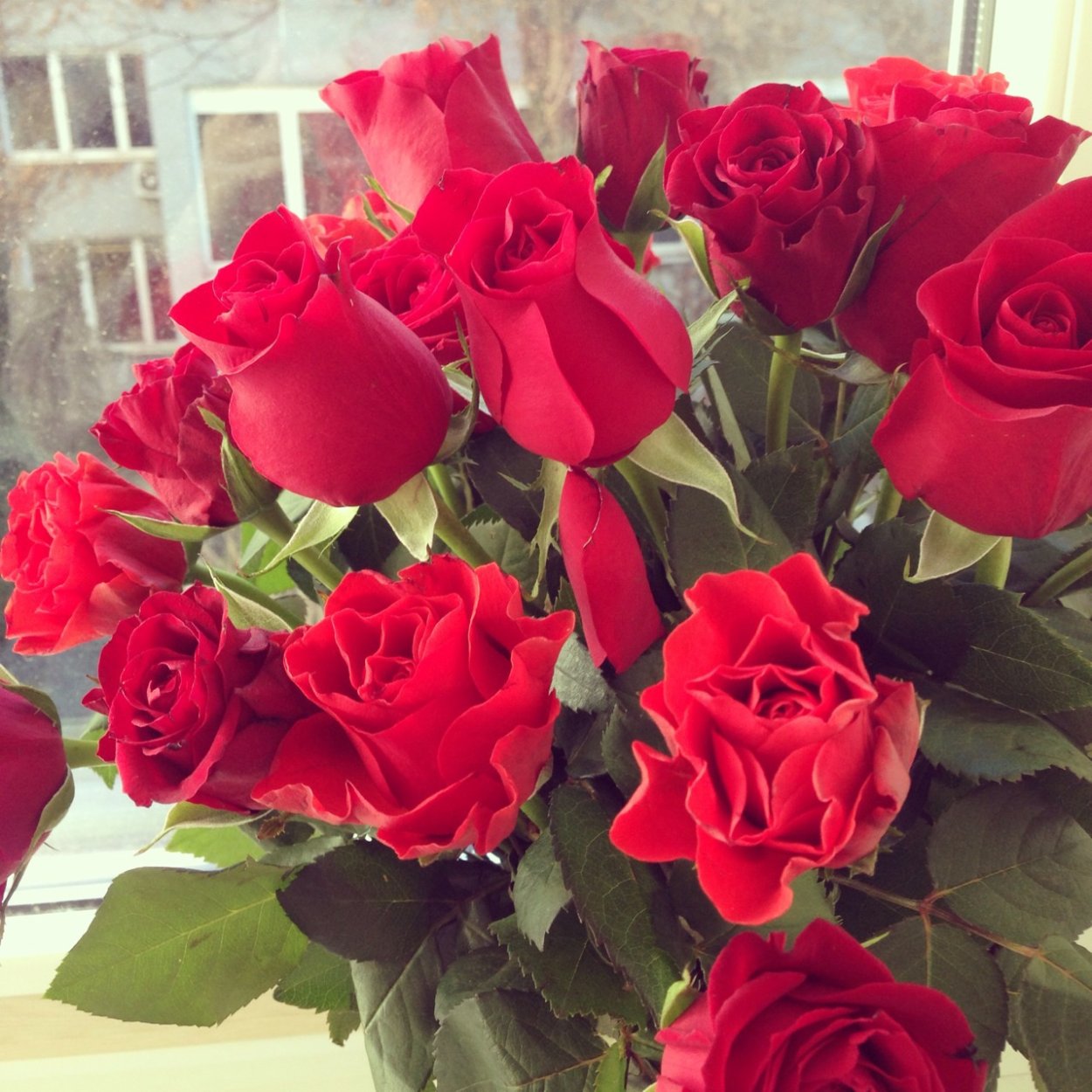 Перекута Виктория