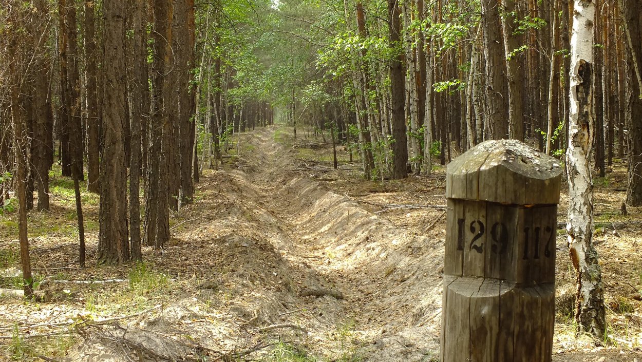Ориентирование по квартальным столбам в лесу