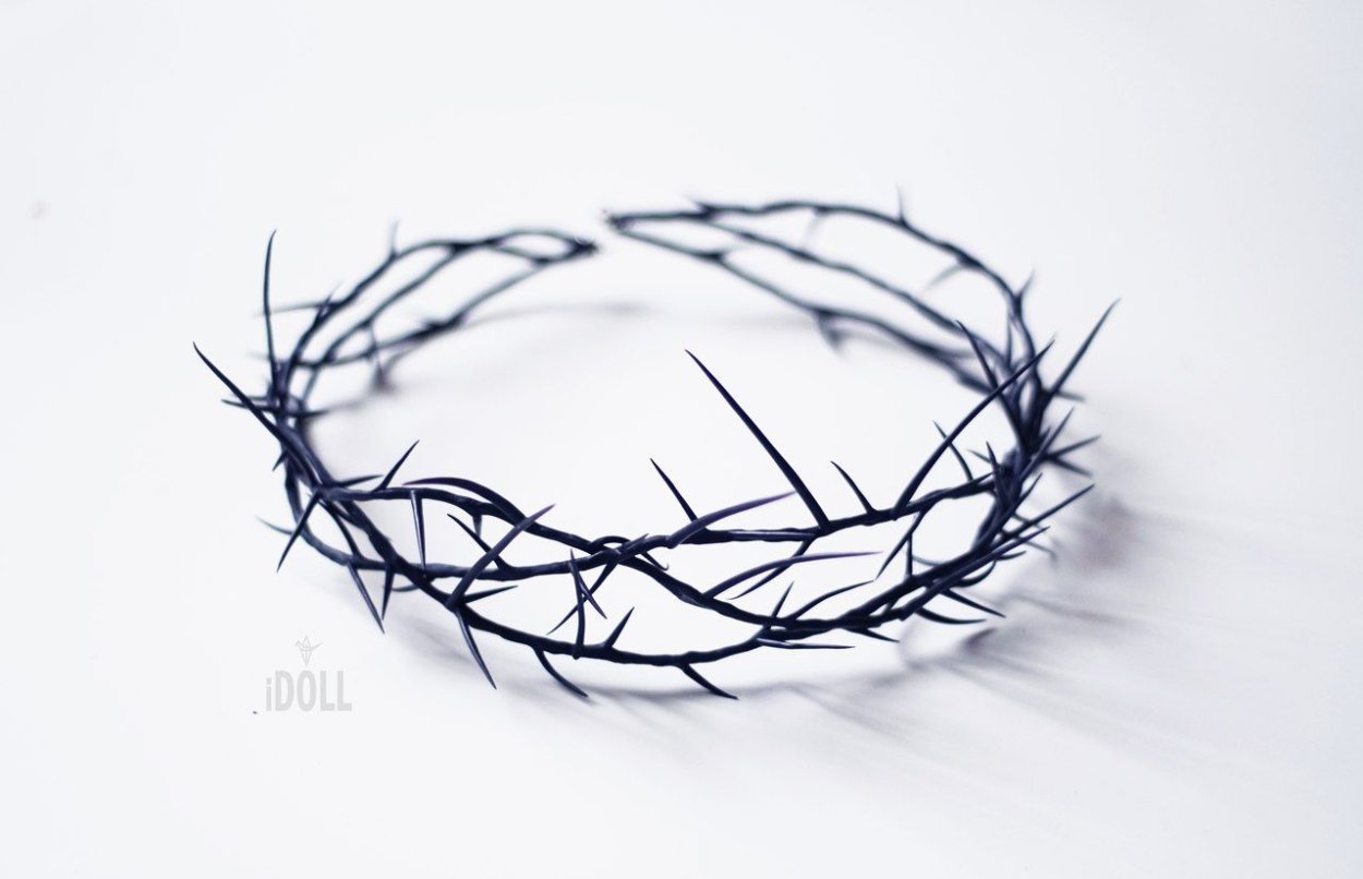 Терновый венец колючая проволока