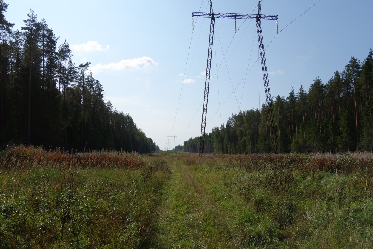 Просека вл 10 кв